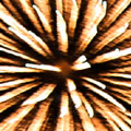 [Fireworks: Pic0011]